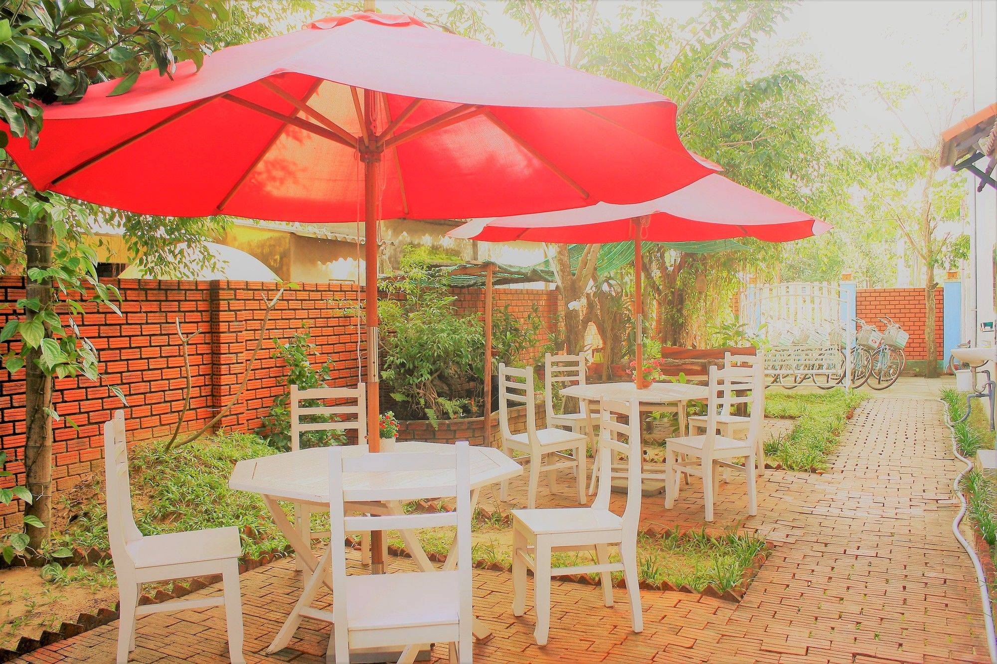 Фото Green Bud Homestay