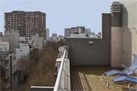 Фото Color Botanico