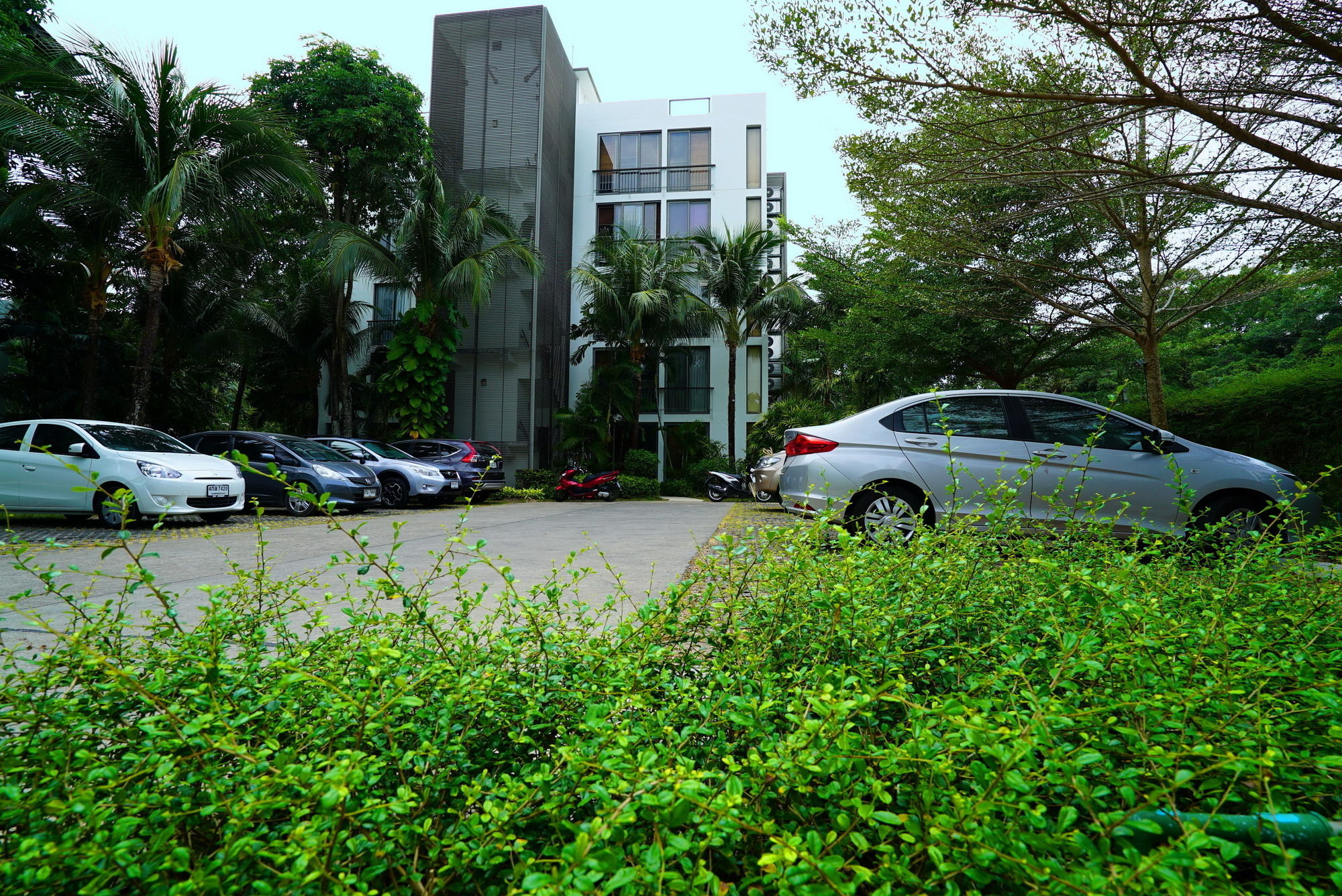 Фото Casuarina Shores Apart Hotel