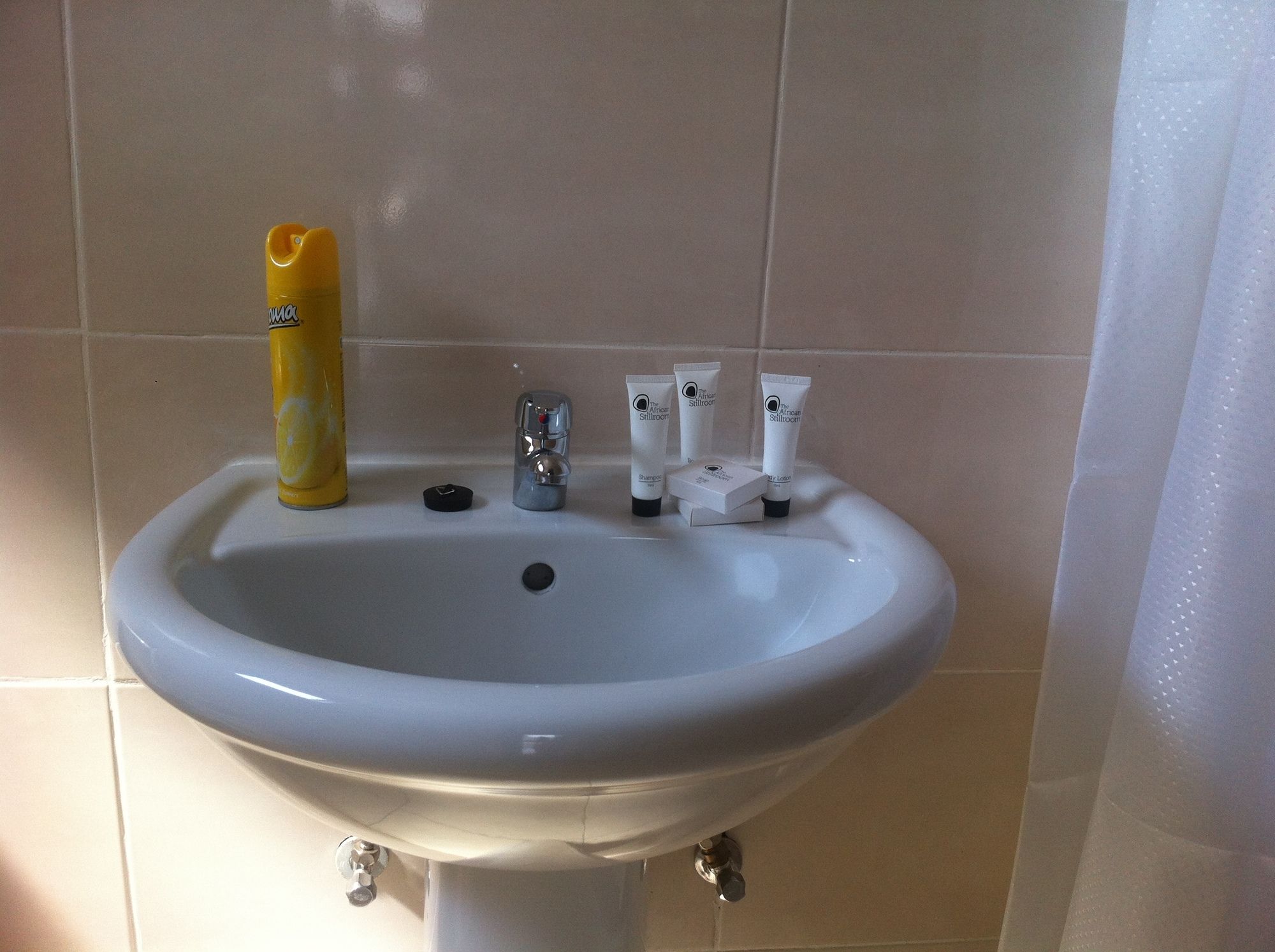 Фото Cosy Palms Guest House