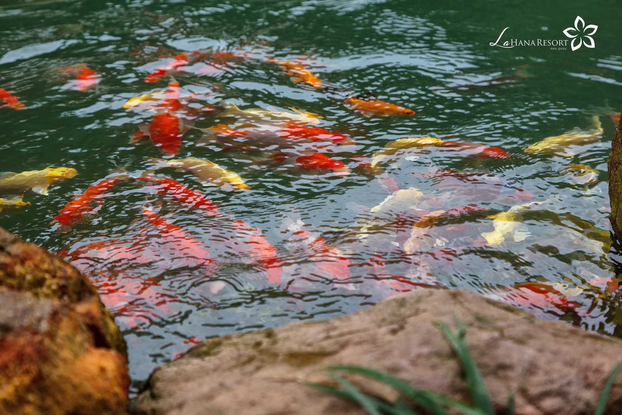 Фото Lahana Resort Phu Quoc & SPA