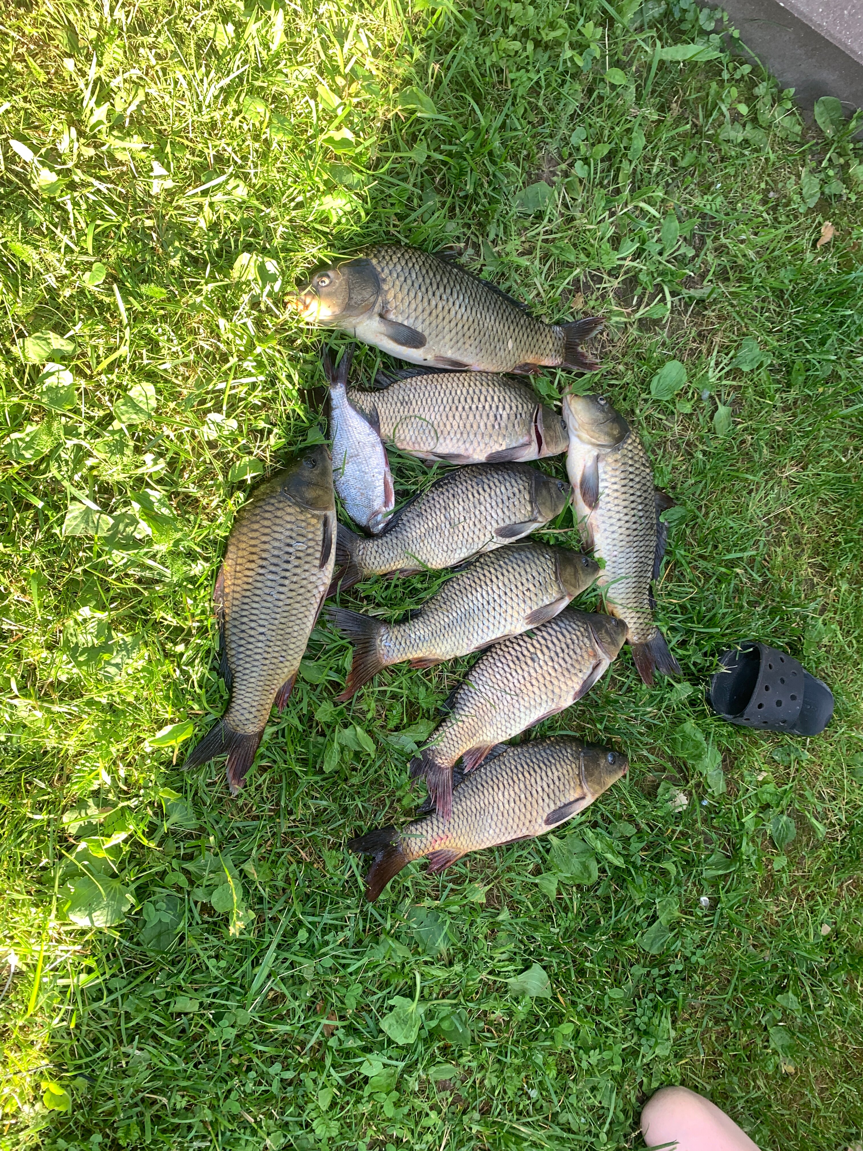 Фото Парк-отель Красновидово