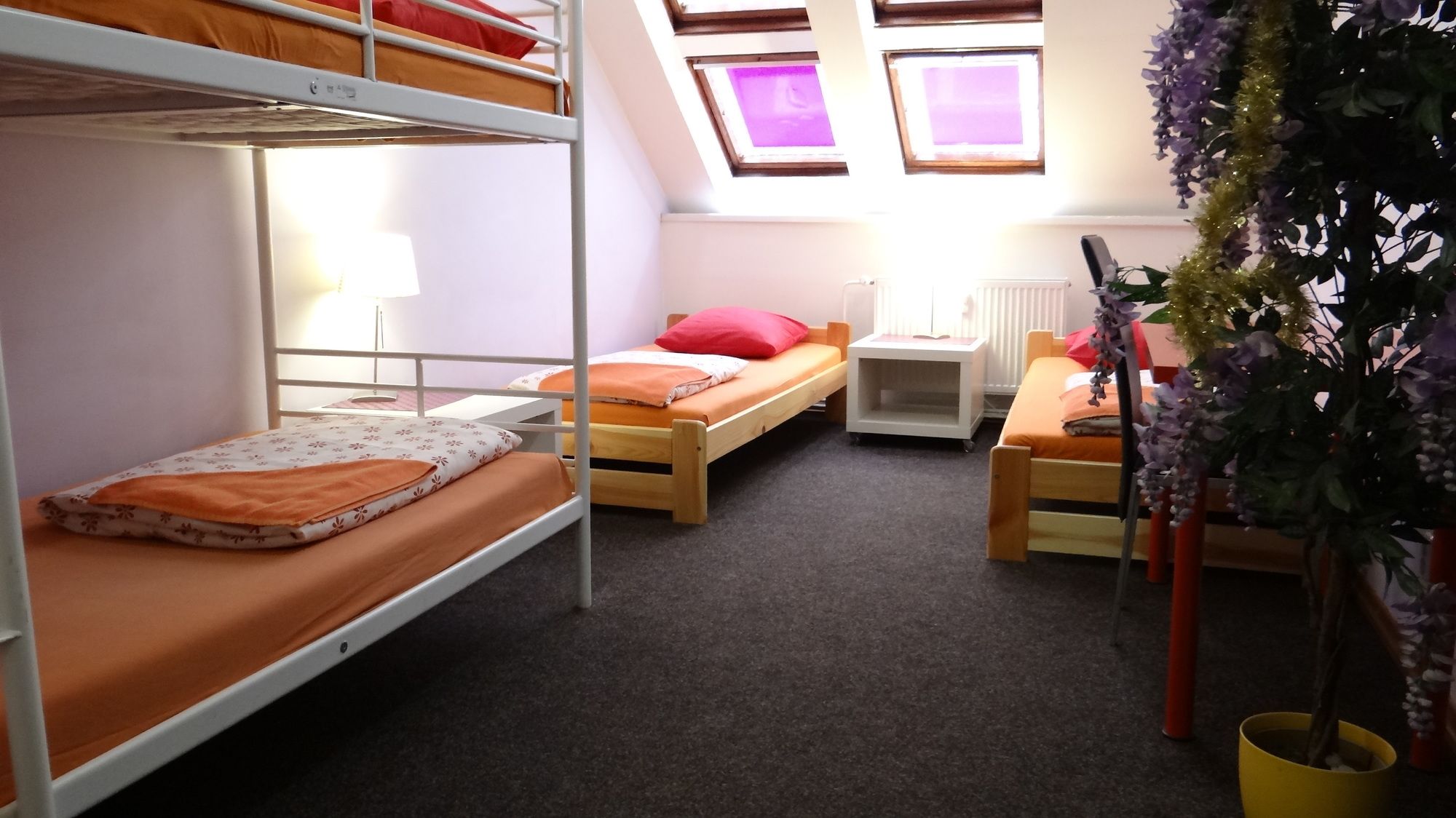 Фото Хостел Sokolska Youth