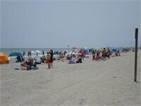 Гостиница Palette Resort Myrtle Beach by Oyo