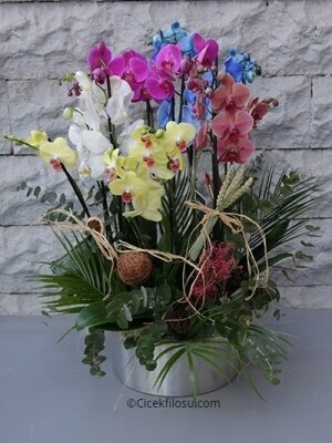 Flower shop Trabzon Harmony Flower House, Ortahisar, photo