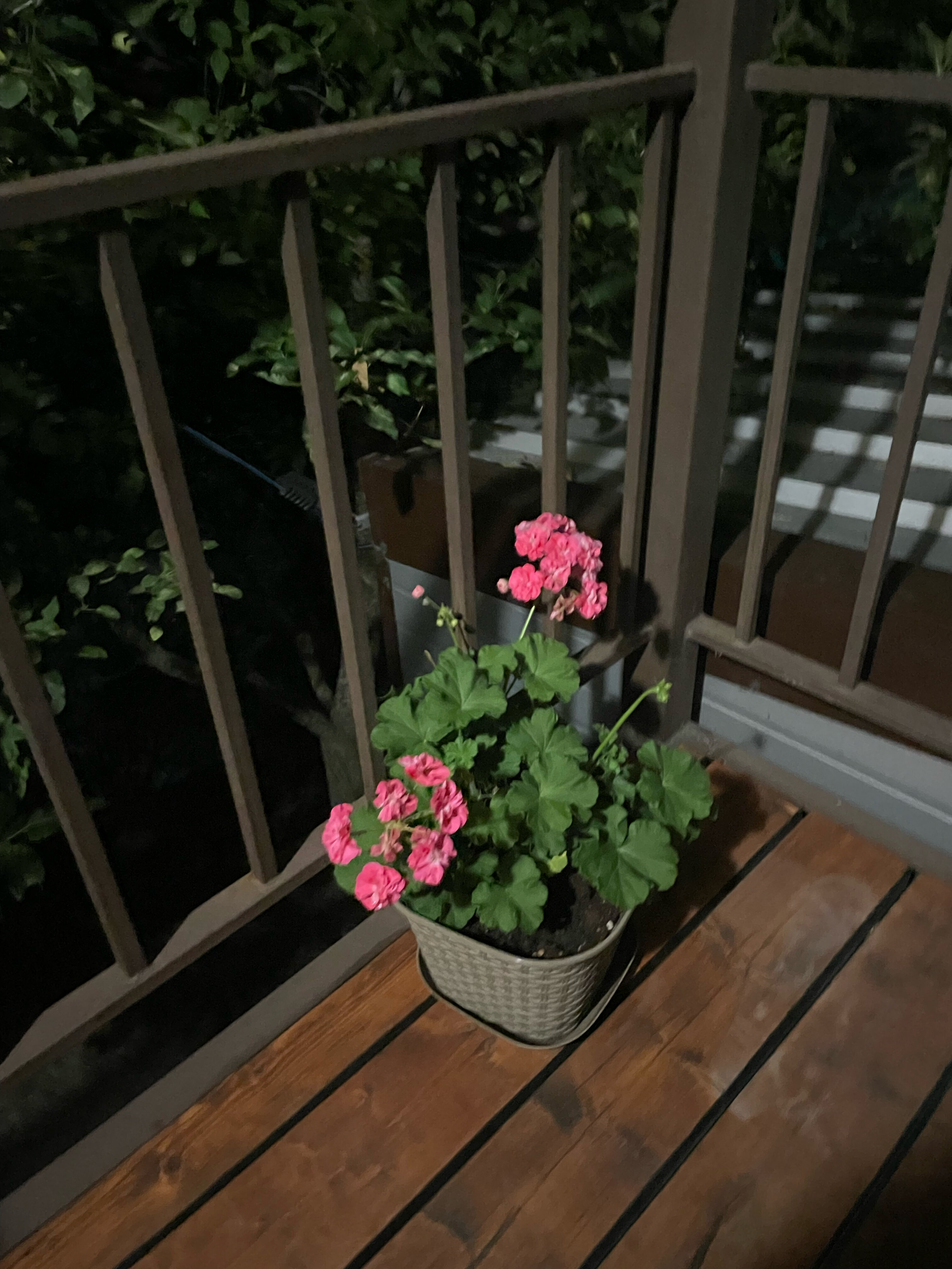 Фото Усадьба