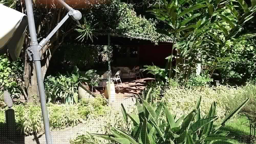 Фото Novo Hotel & Suite