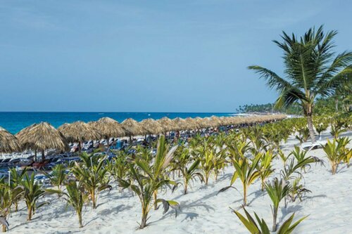 Гостиница Riu Republica - Adults only - All Inclusive в Провинции Ла-Альтаграсия