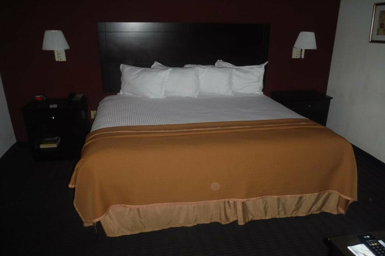 Фото Hotel South Tampa & Suites