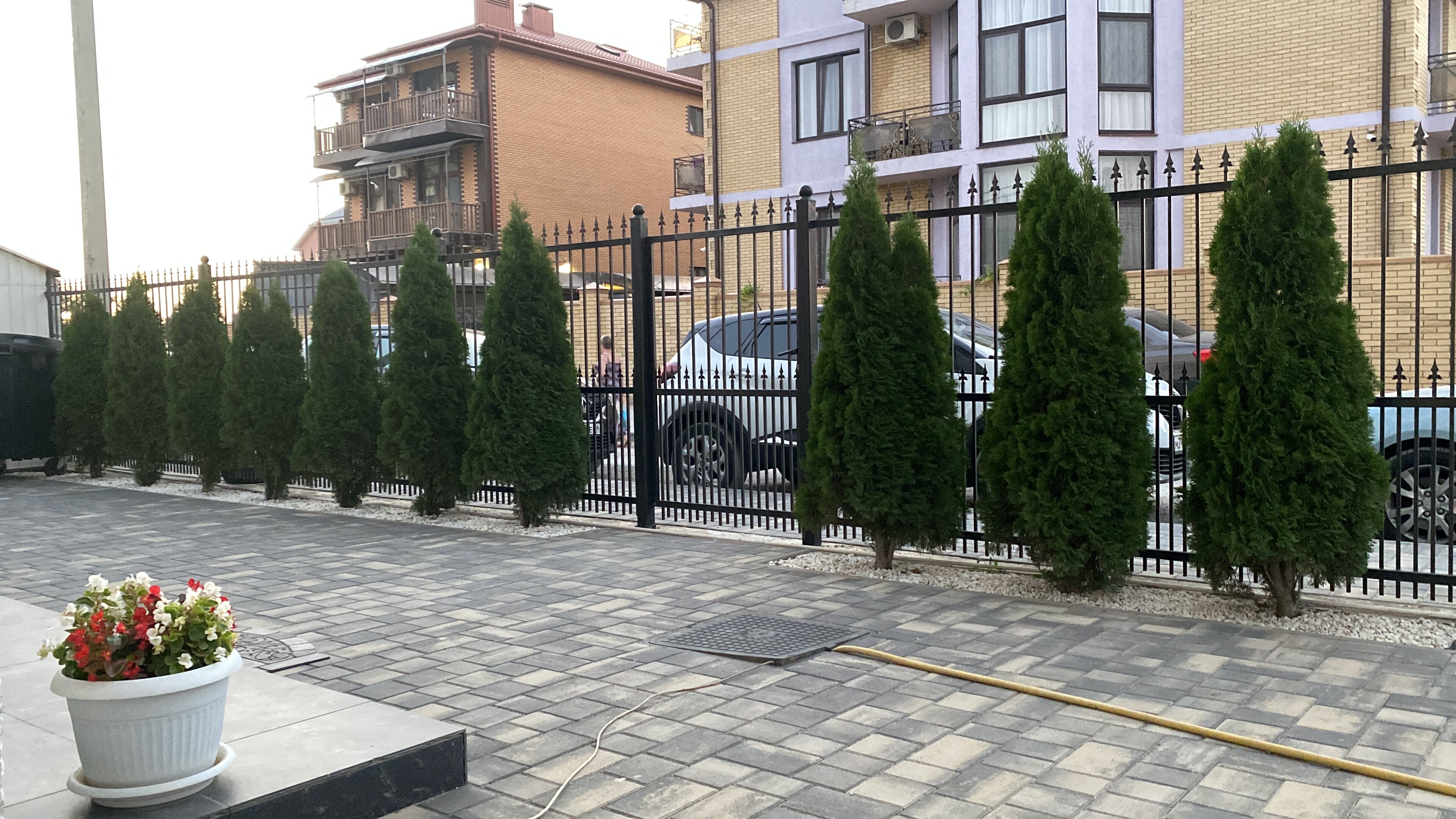 Фото Димитрион