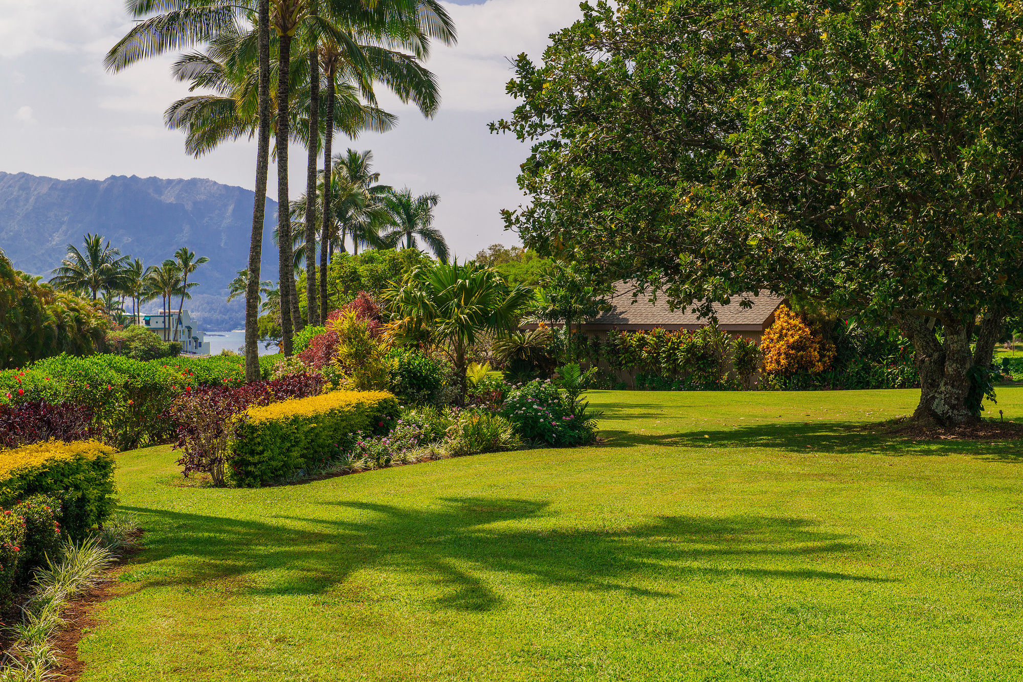 Фото Princeville Oceanfront Villas