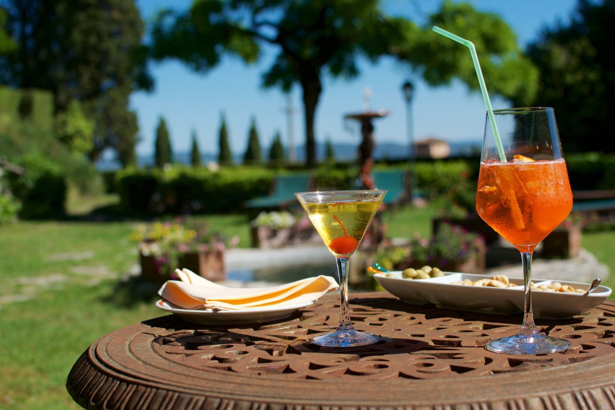 Фото Hotel Villa Scacciapensieri