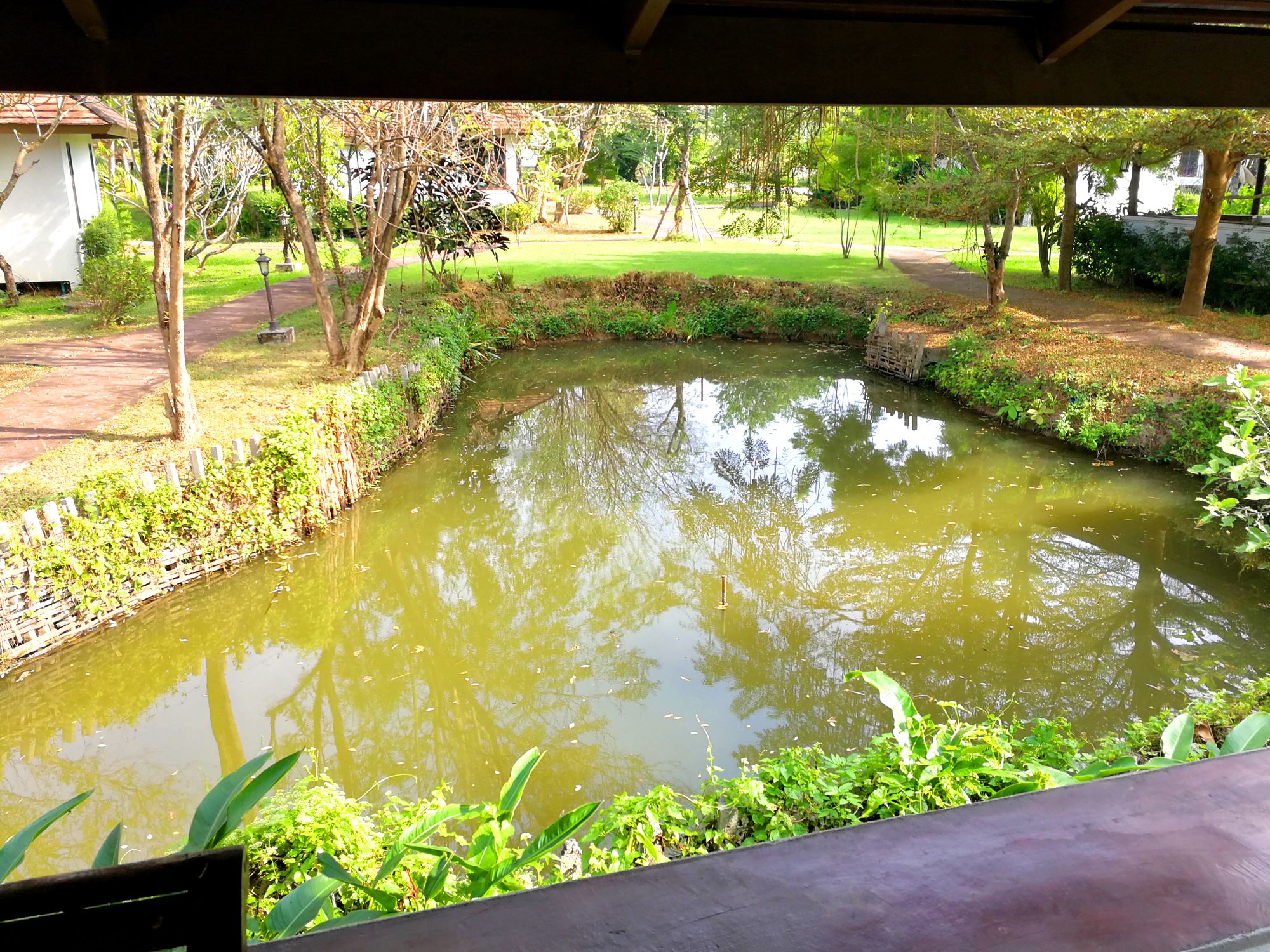 Фото Jasmine Hills Villas & SPA