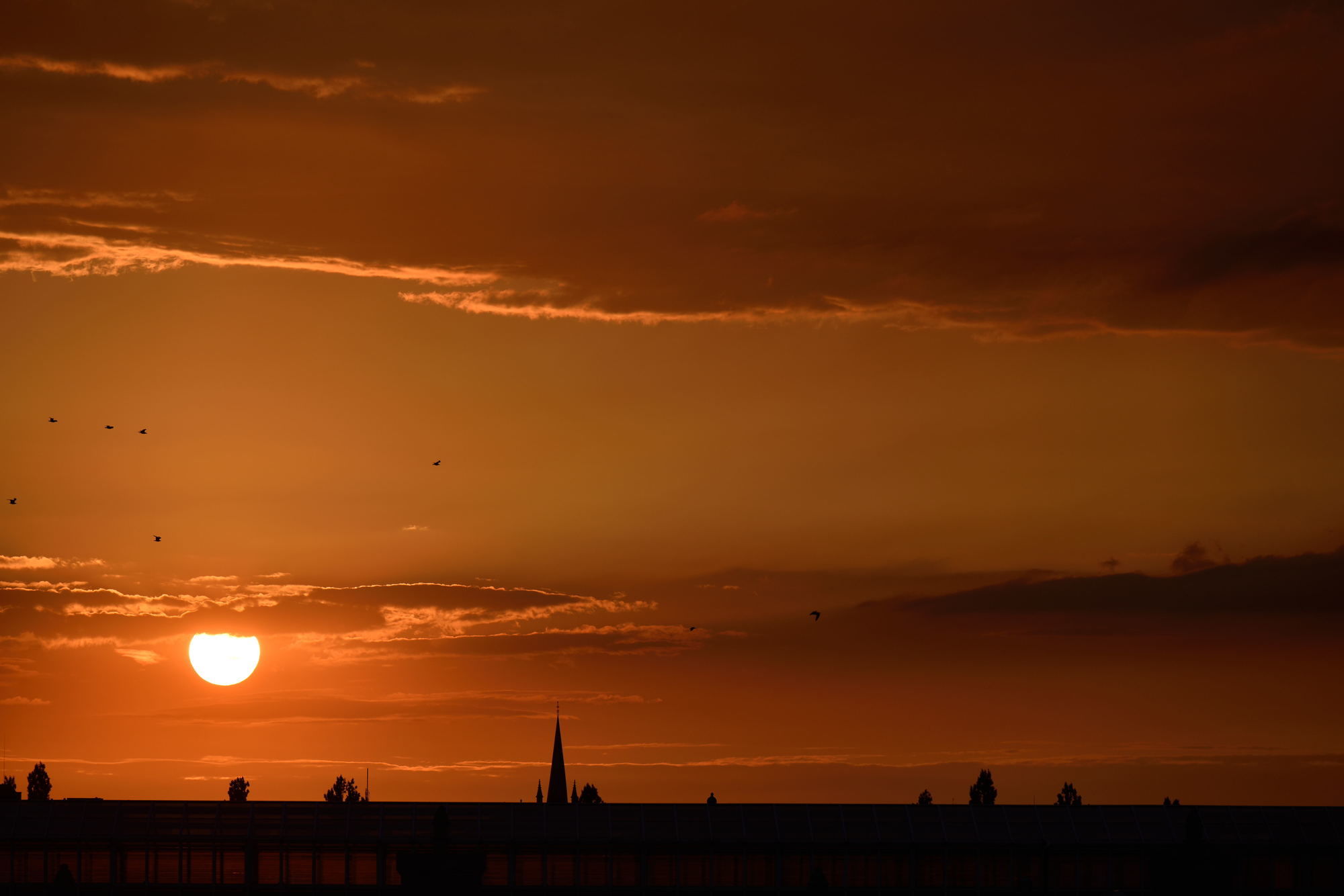 Фото Belvue Hotel