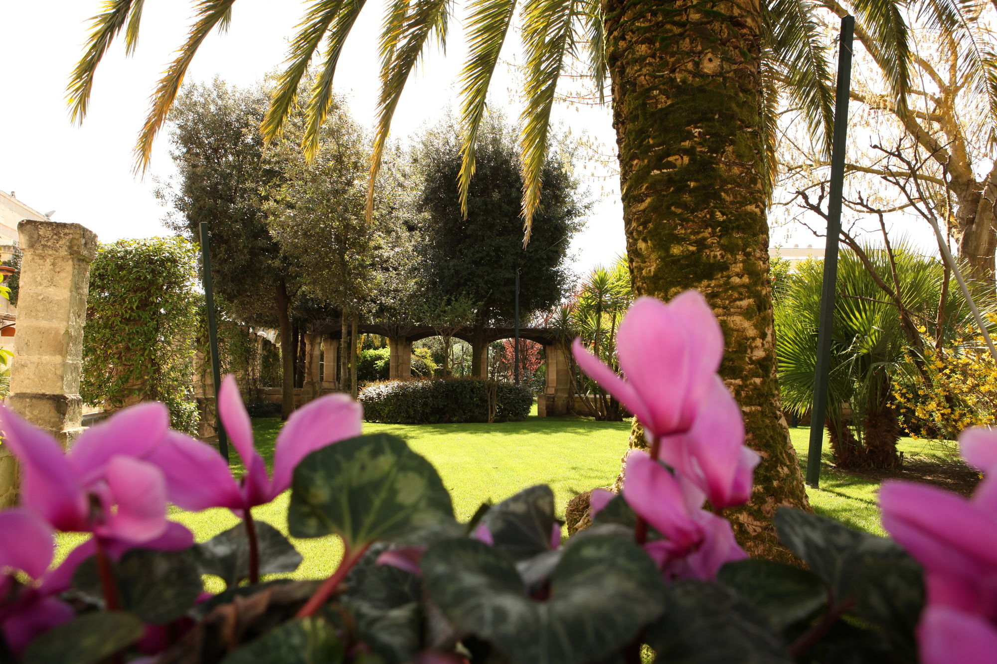 Фото Hotel Del Campo