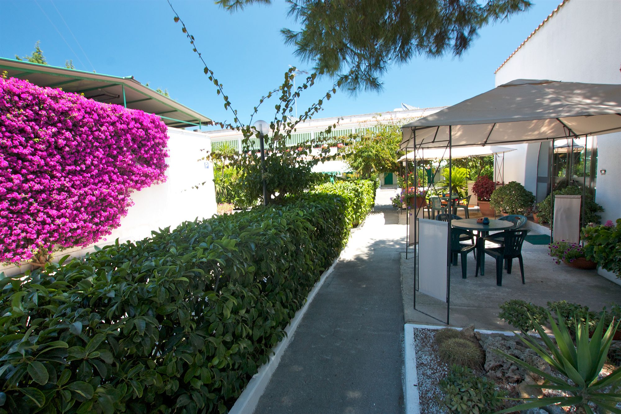 Фото Hotel Residence Nemo