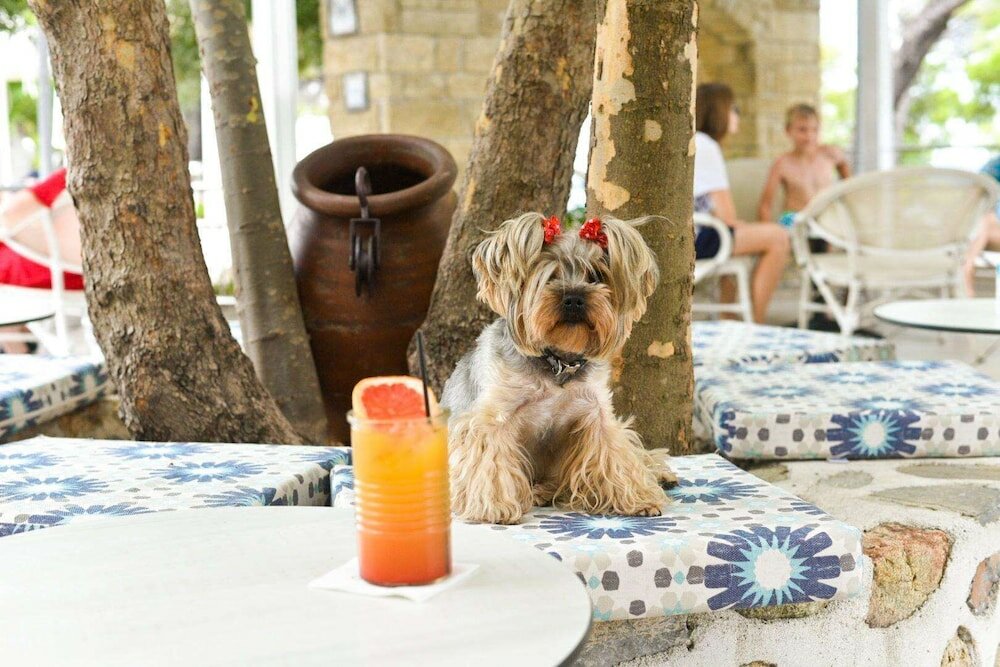 Фото Отель Acrotel Athena Residence