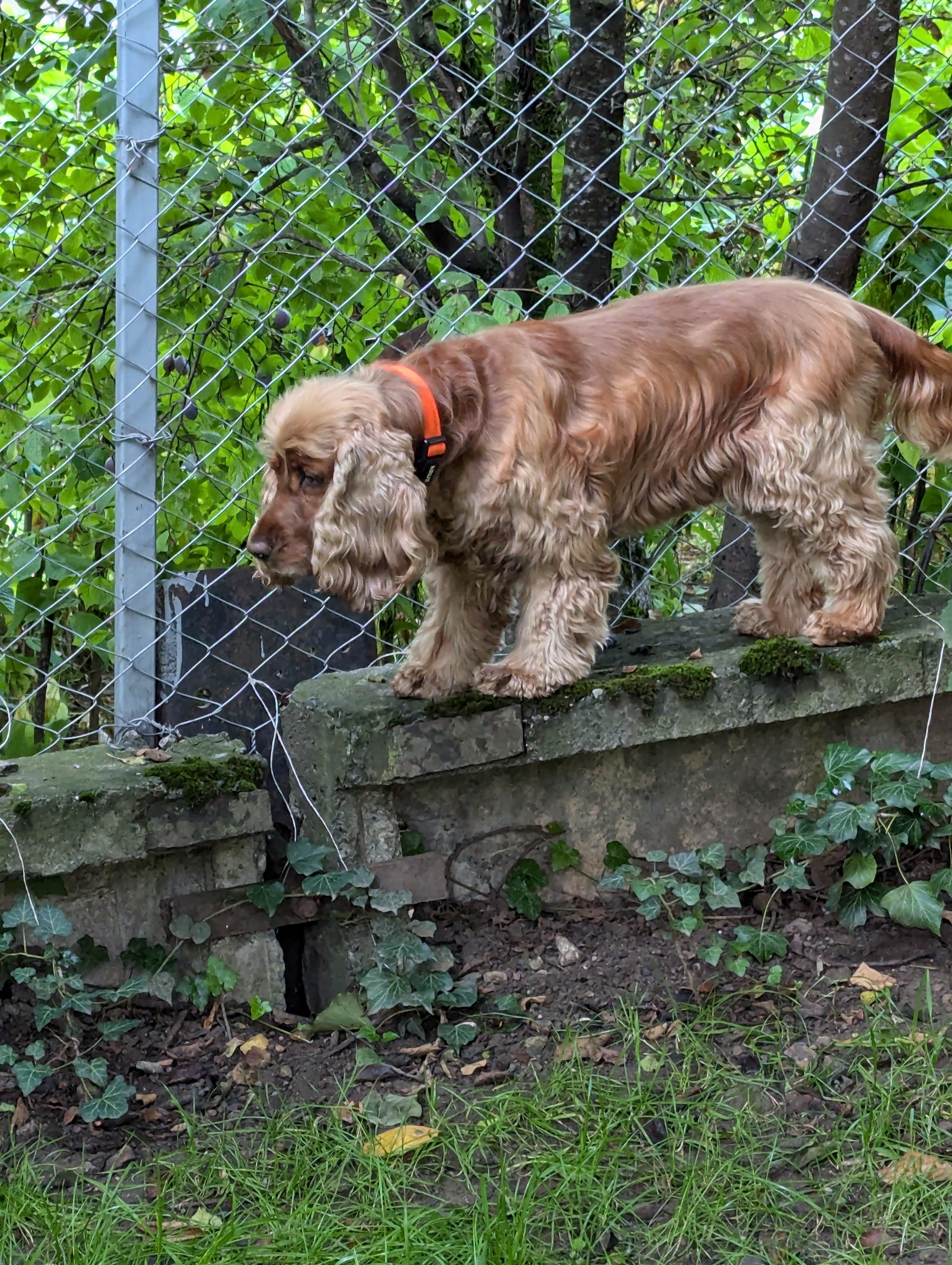 Фото RestArt Boutique Hotel