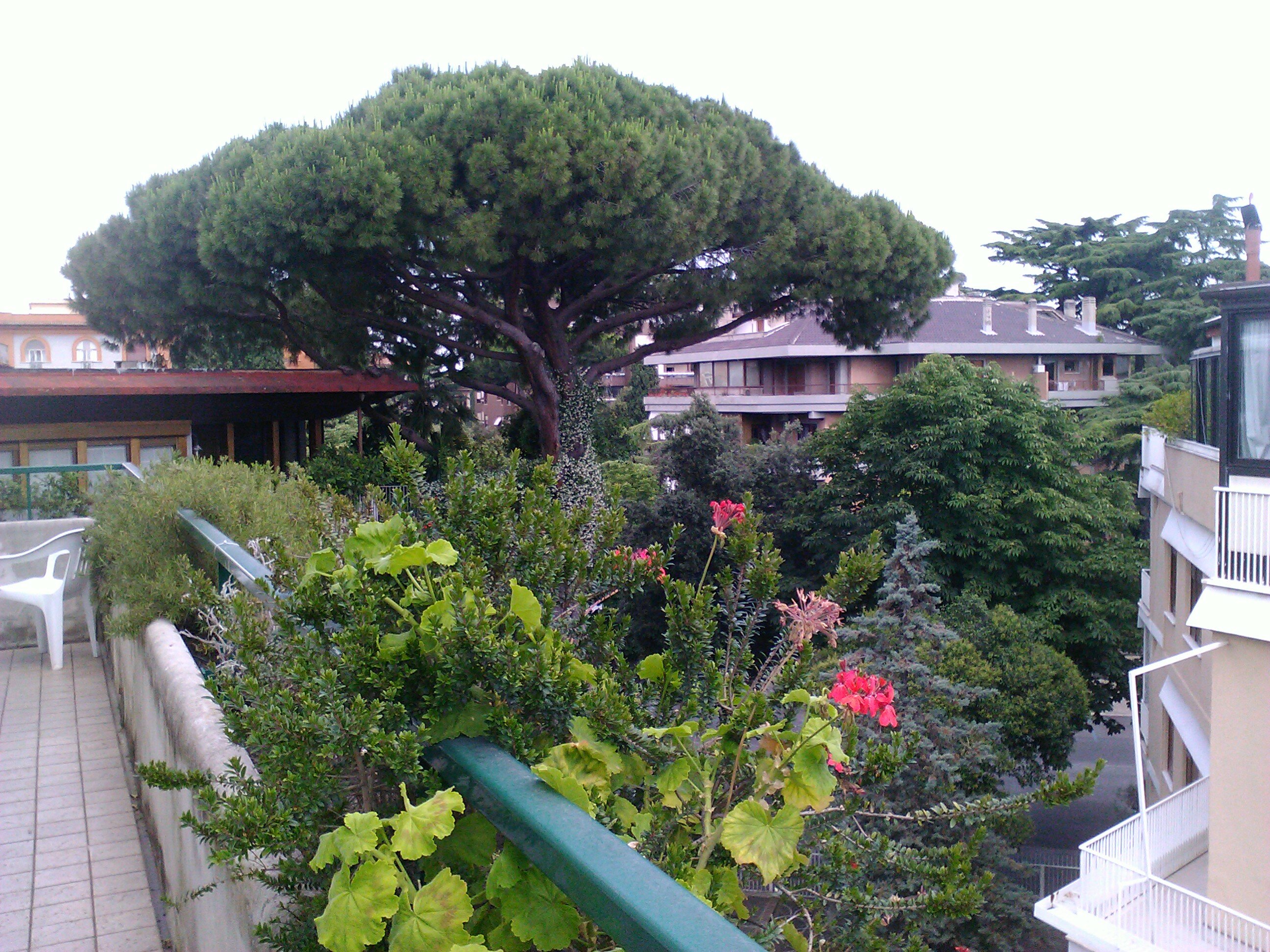 Фото Residence Prati