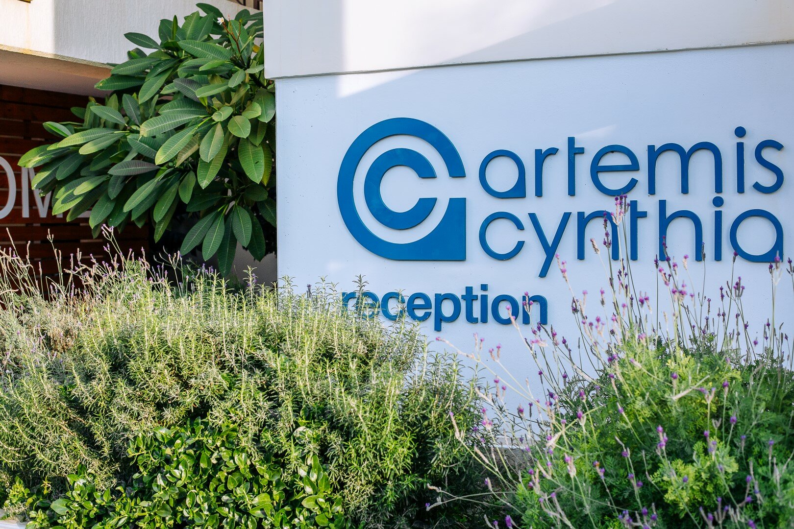 Фото Artemis Cynthia Complex