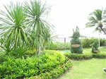 Phet Cha-am Plaza & Resort