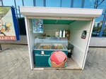33 Pingvina (Lenina Avenue, 11), ice cream
