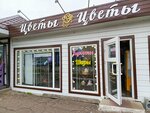Москаленский Загородный Детский Оздоровительный Лагерь Берёзка (rabochiy posyolok Moskalenki, ulitsa Lenina, 10), summer camp