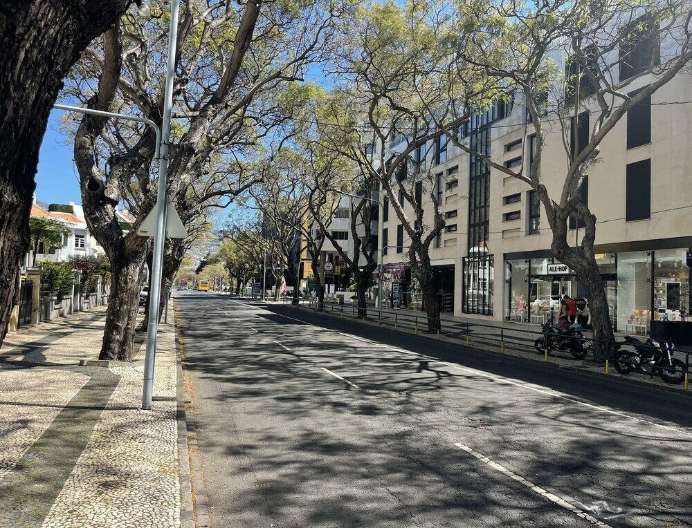 Фото 102185288666