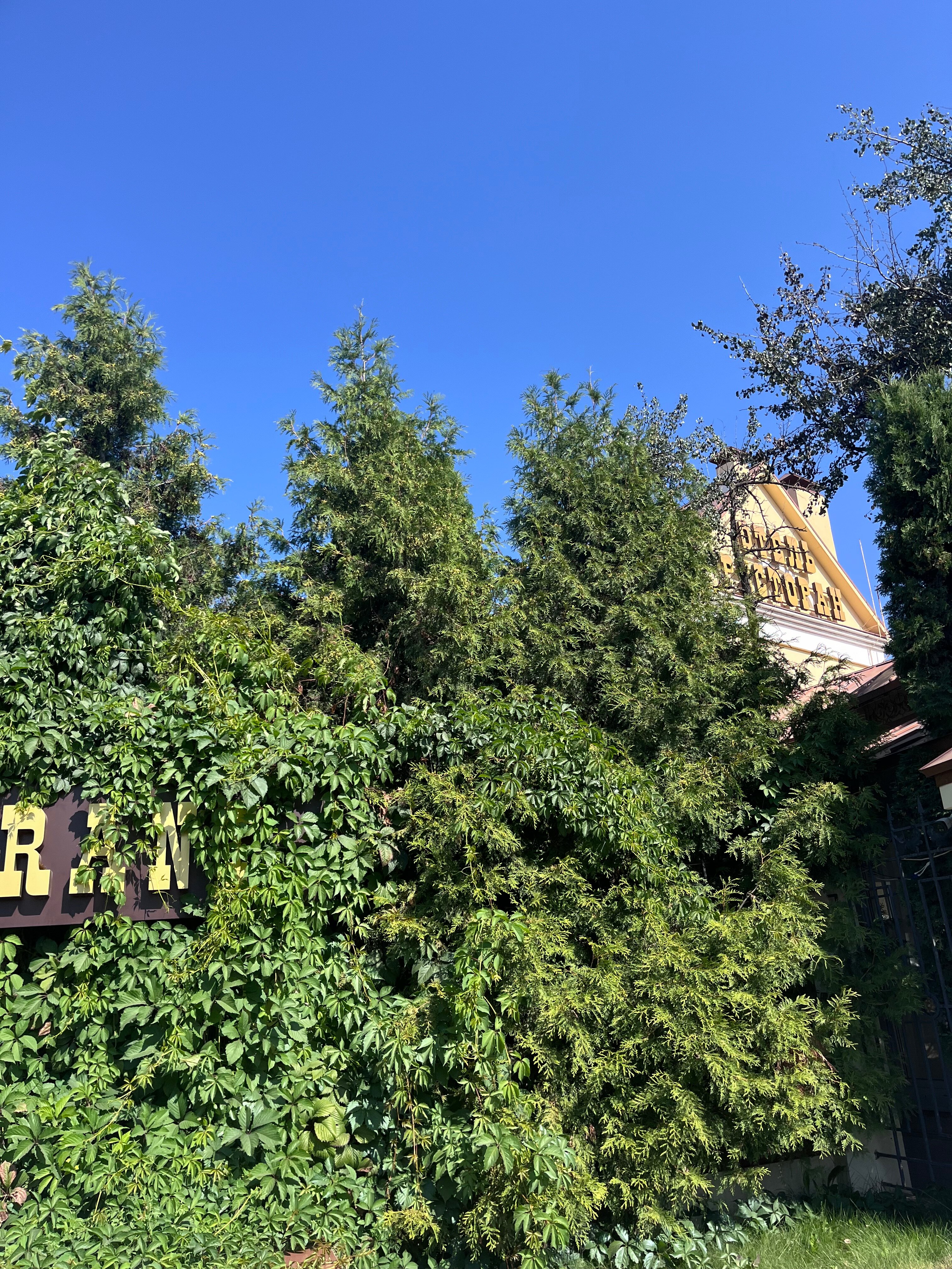 Фото Сударь