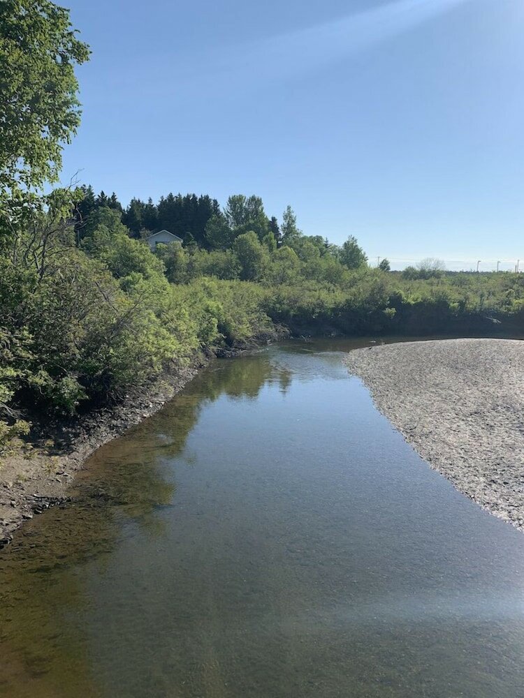 Фото Les chanterelles de Forillon