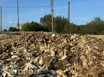 ГП Цивильский ветеринарно-санитарный утилизационный завод по производству мясокостной муки (Chuvash Republic, Tsivilskiy munitsipalny okrug), food manufacturers