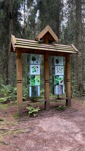 Пешеходный экологический маршрут Лесные тайны (Novgorod Region, Valdayskiy National Park, peshekhodny ekologicheskiy marshrut Lesnyye tayny), landmark, attraction