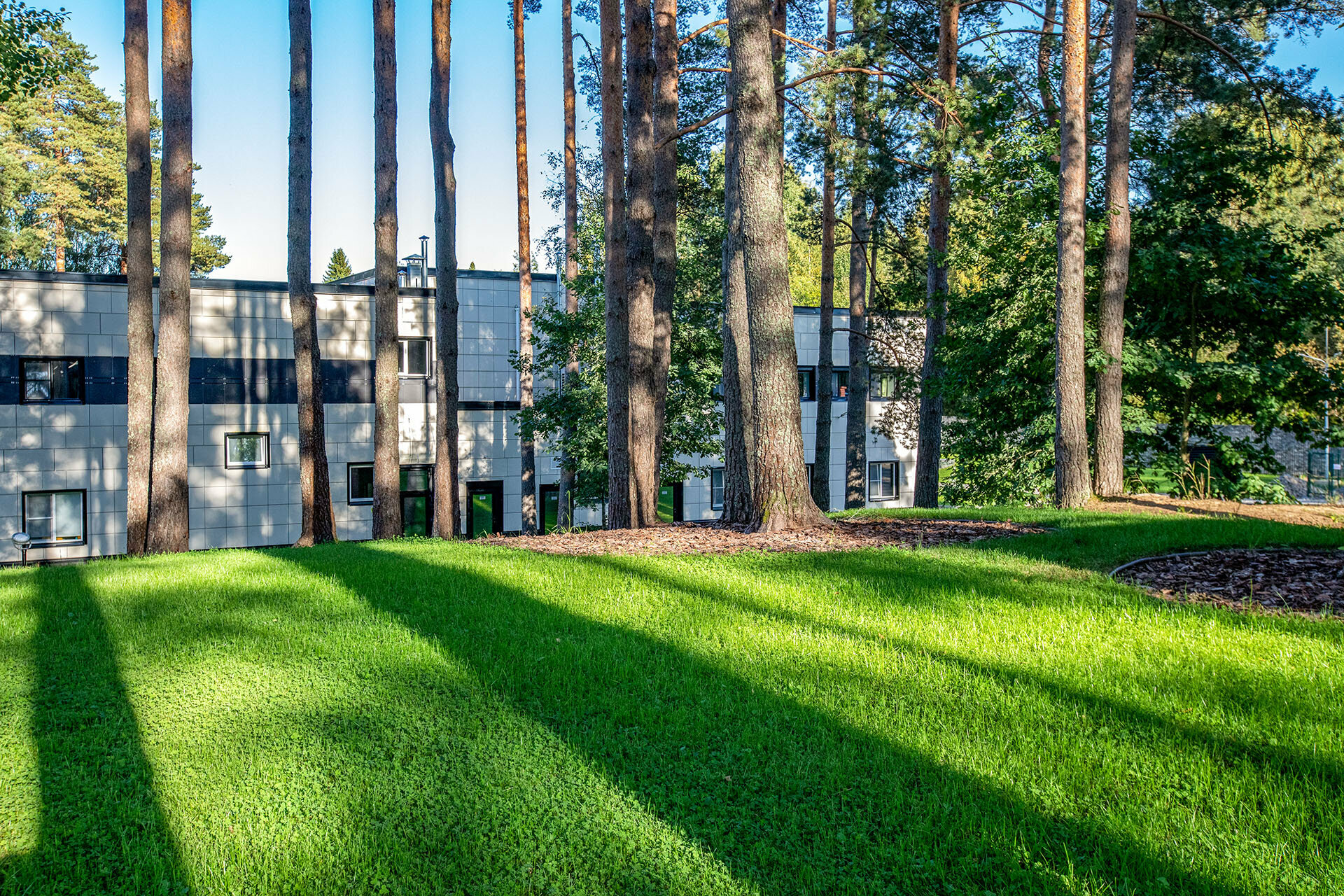 Фото Тюрьма для жира