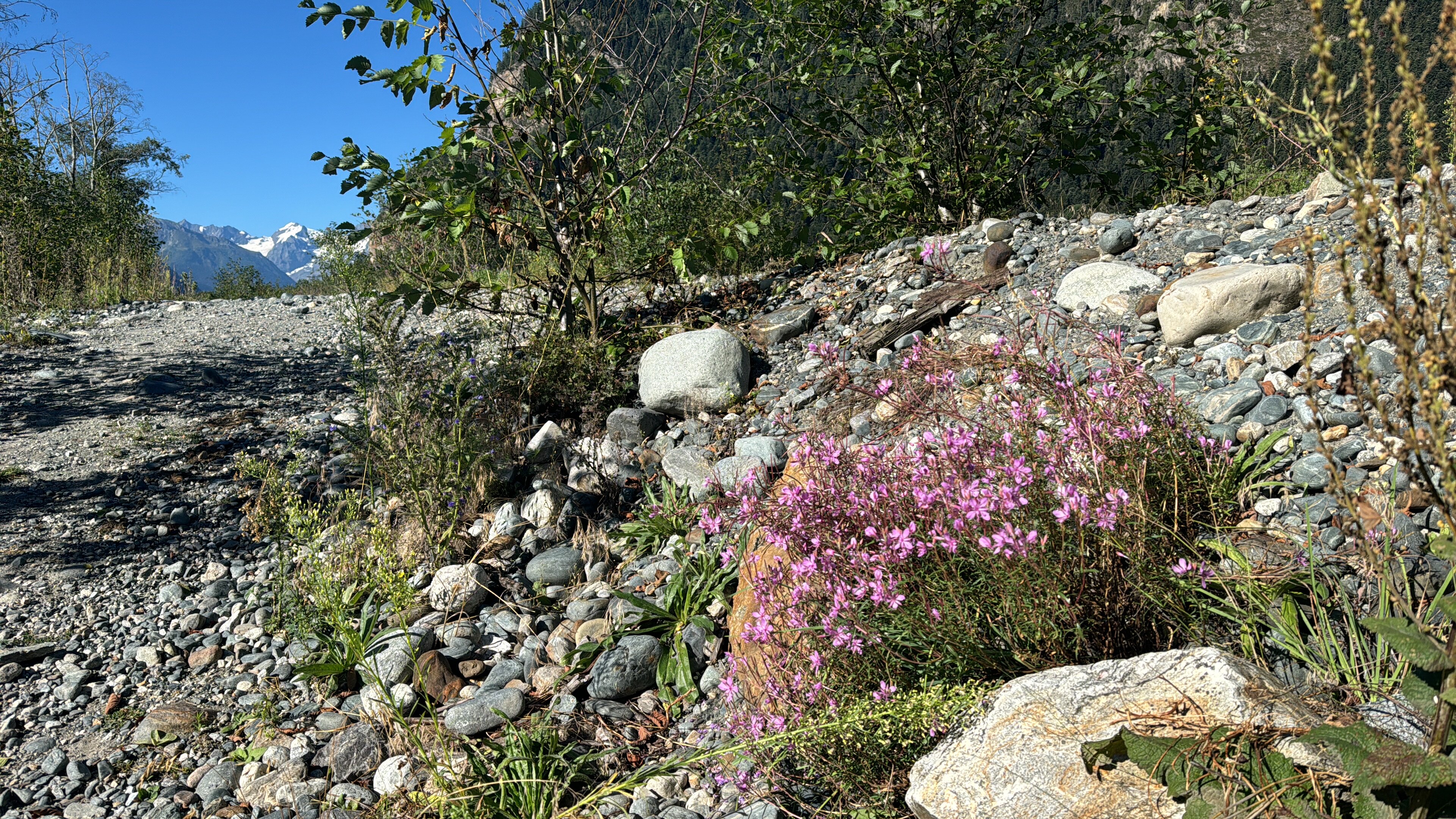 Фото У Аллы