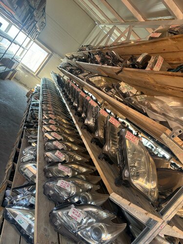 Yetuk arman ayollar porno