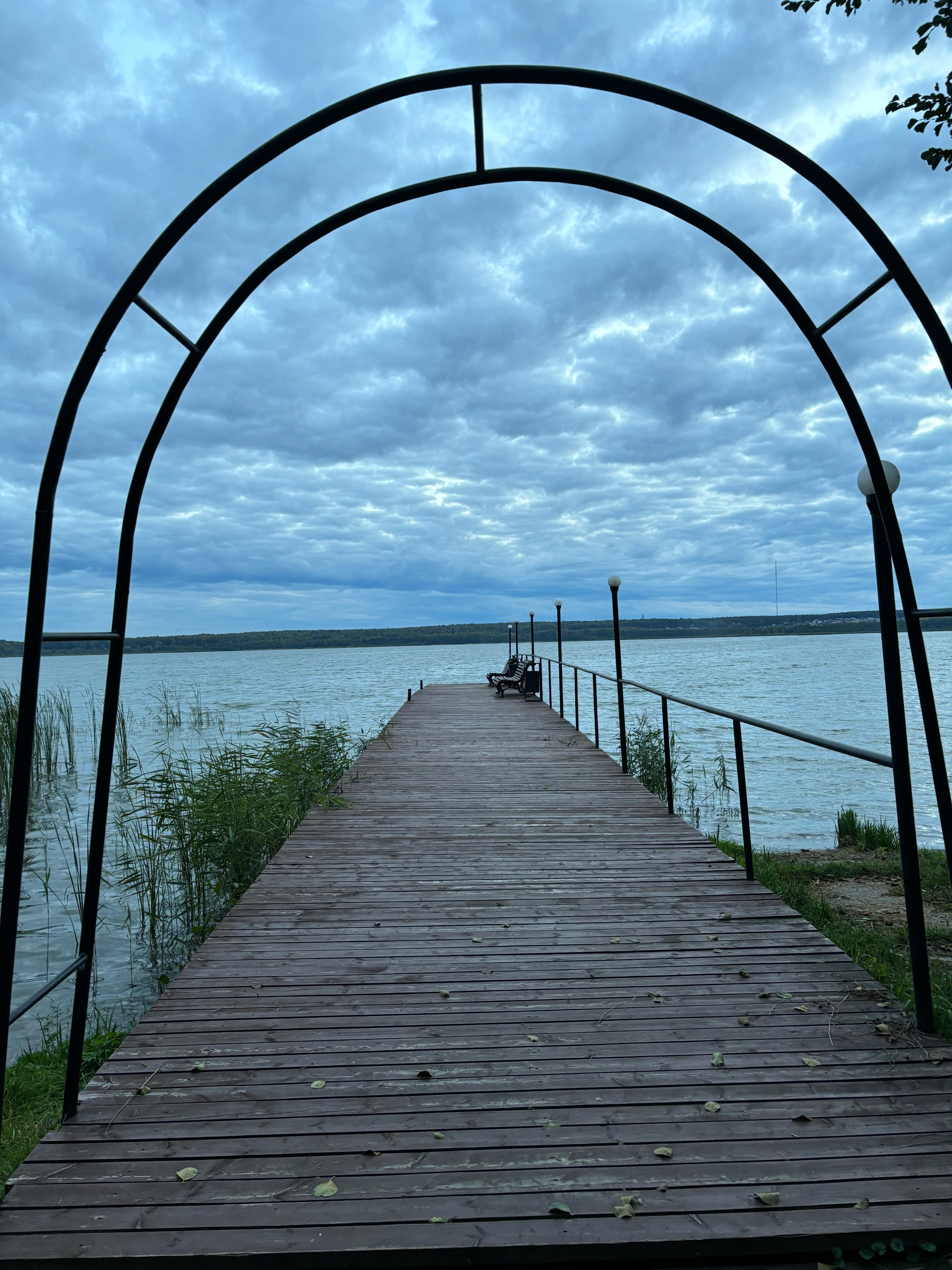 Фото Тихий Лес