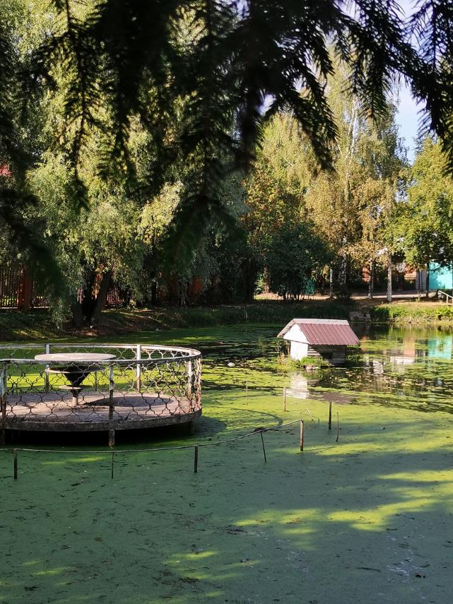 Фото Отель Шереметьево