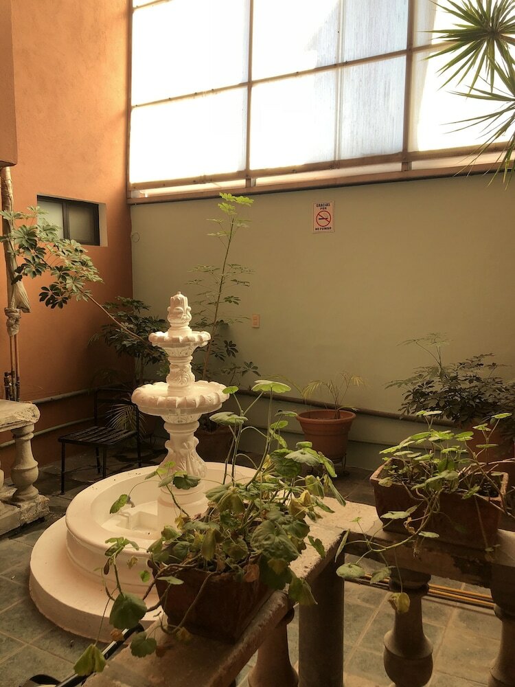 Фото Hotel Villas del Bosque