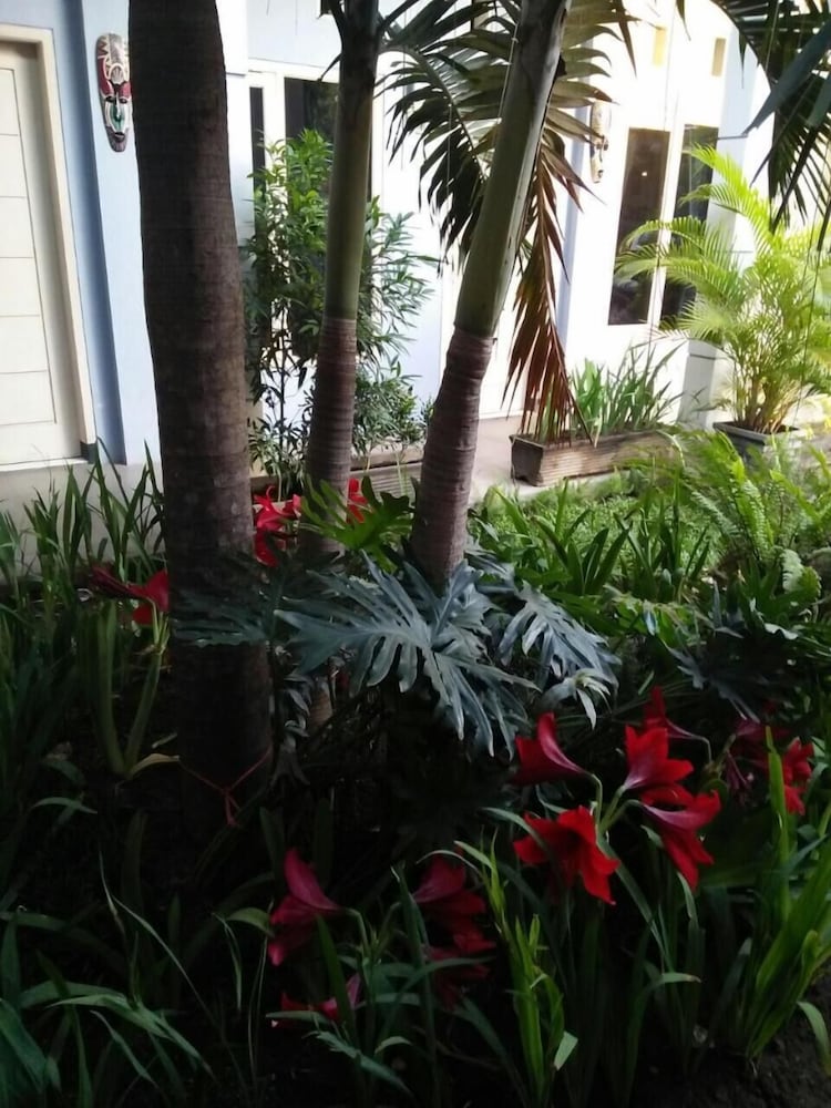 Фото Clover Homestay