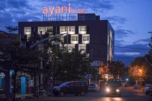 Гостиница Ayani Hotel