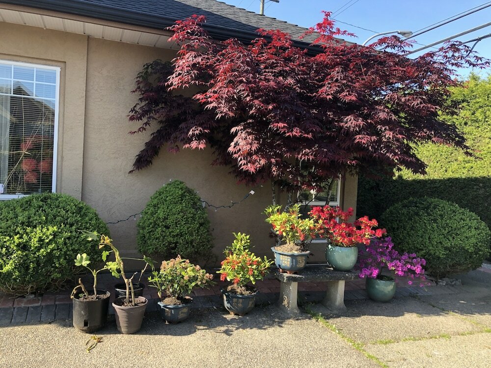 Фото Charming Family Hotel