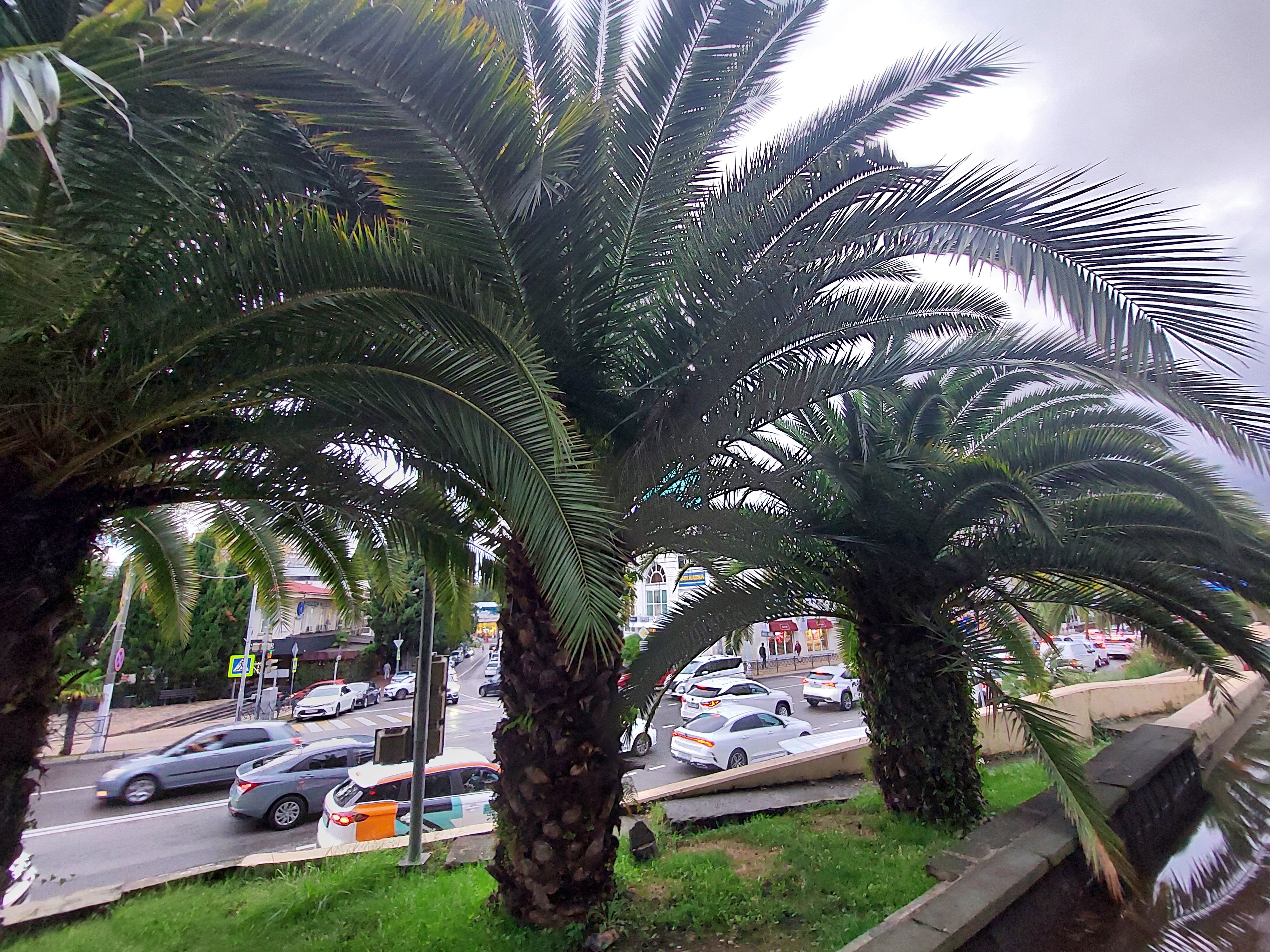 Фото Неолит Парк Горького