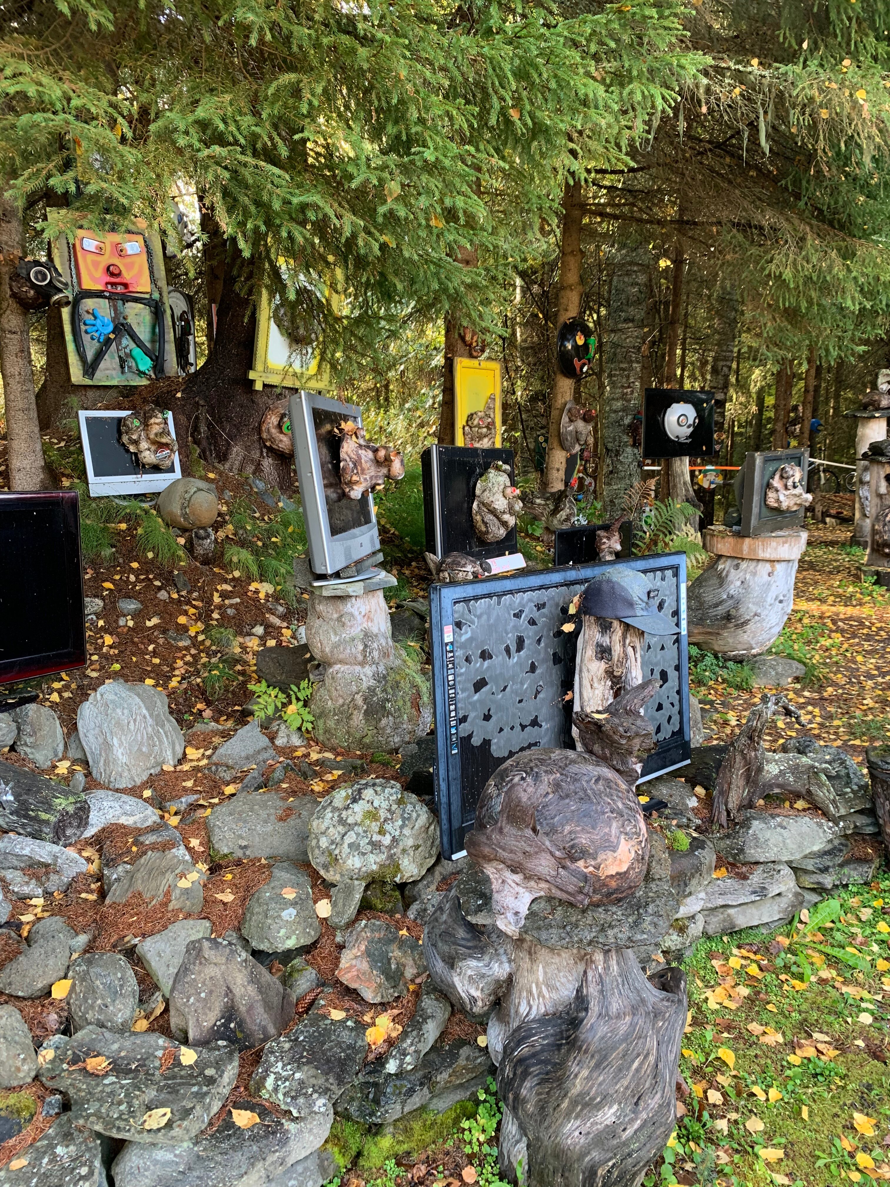 Фото Хутор Васильевых