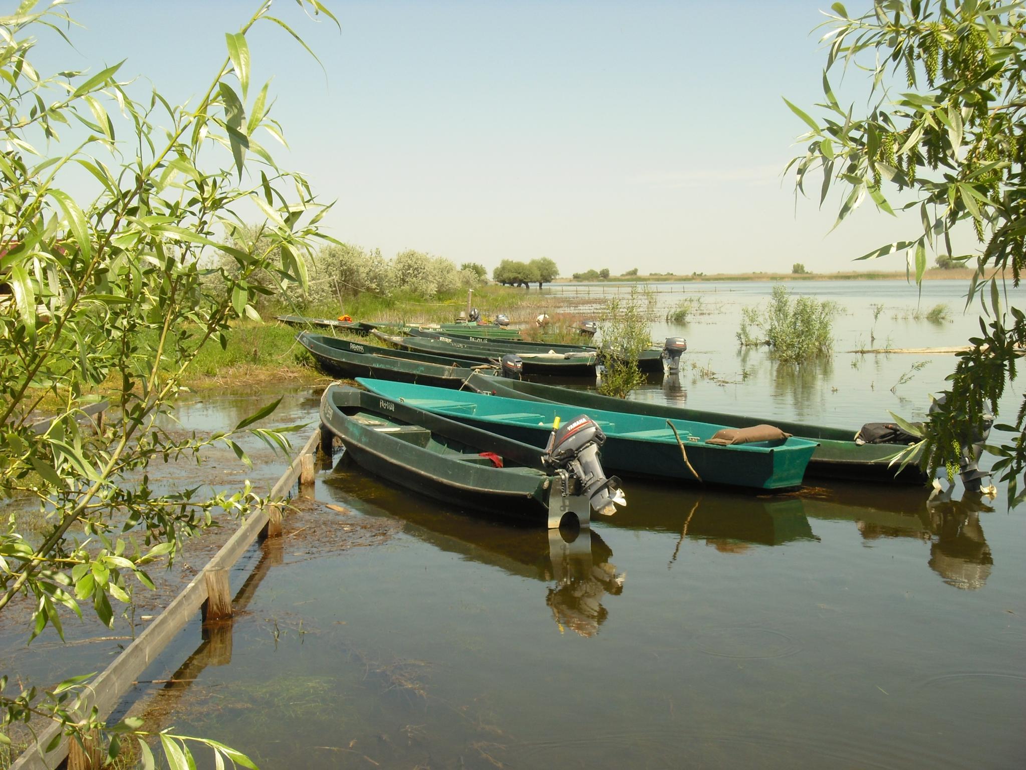 Фото Рыбалкино