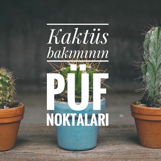 Architectural firm Aytül Temiz Landscape Design, Istanbul, photo