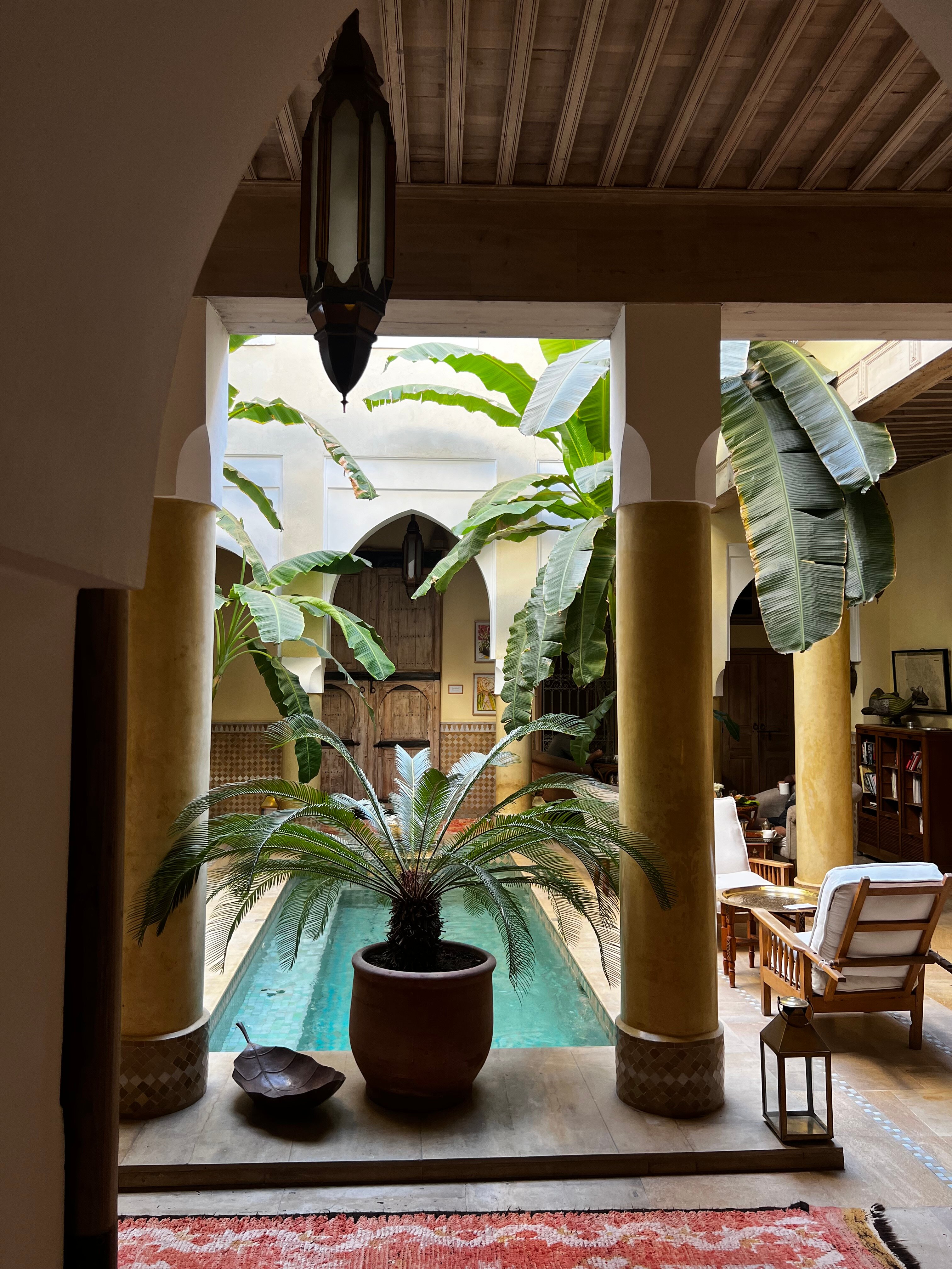 Фото Riad Azoulay