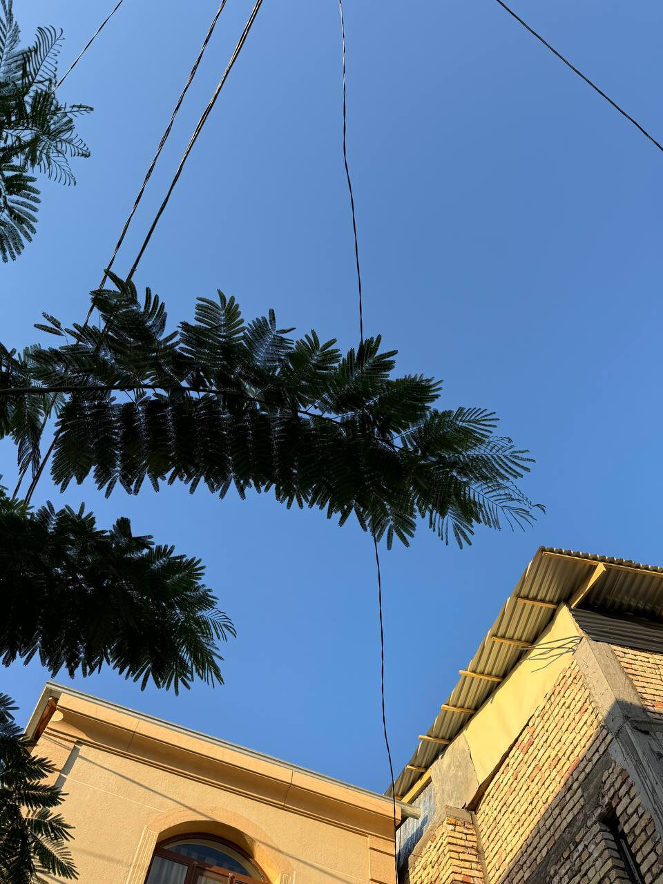 Фото Dolon House