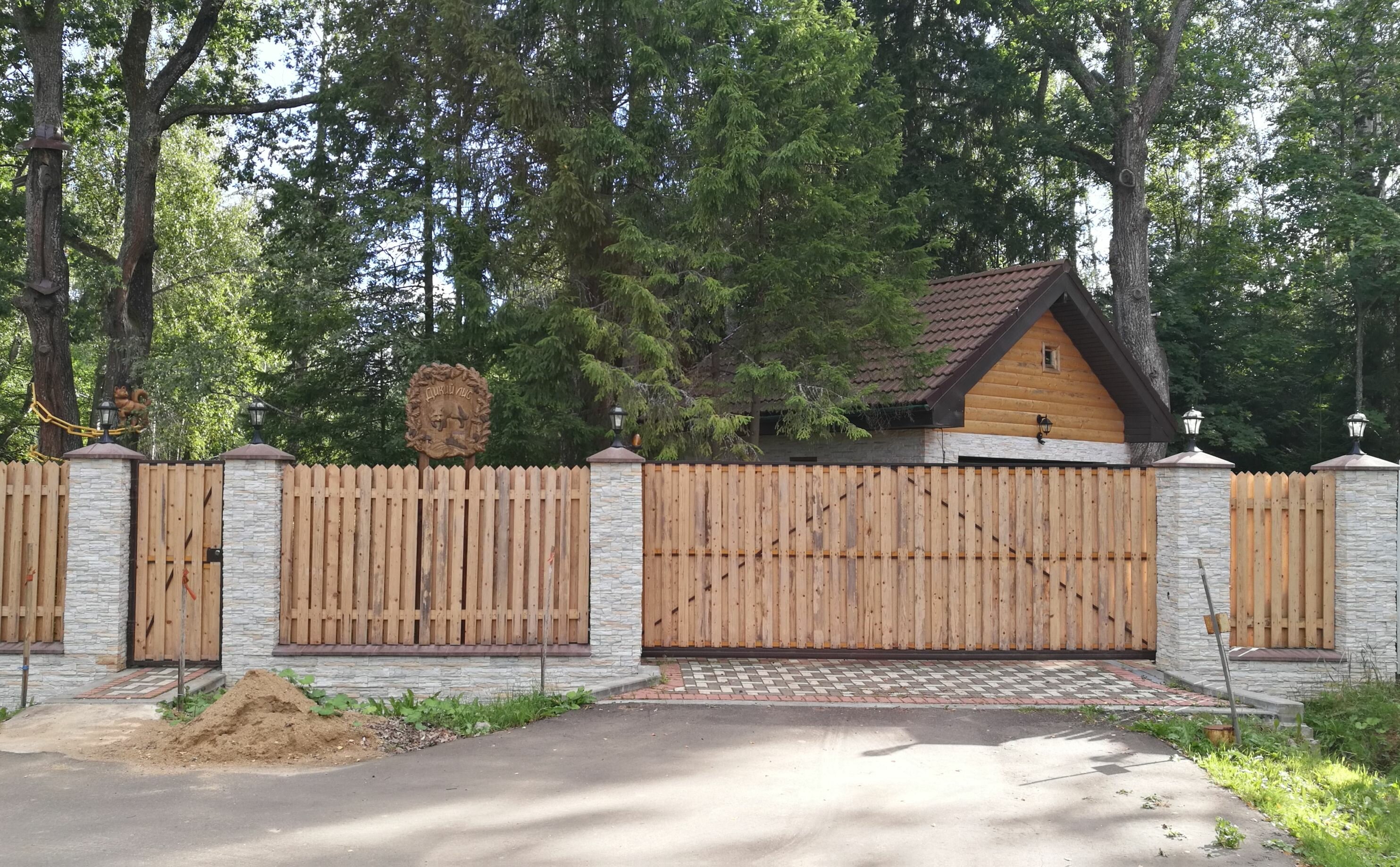 Фото Дикий Лис