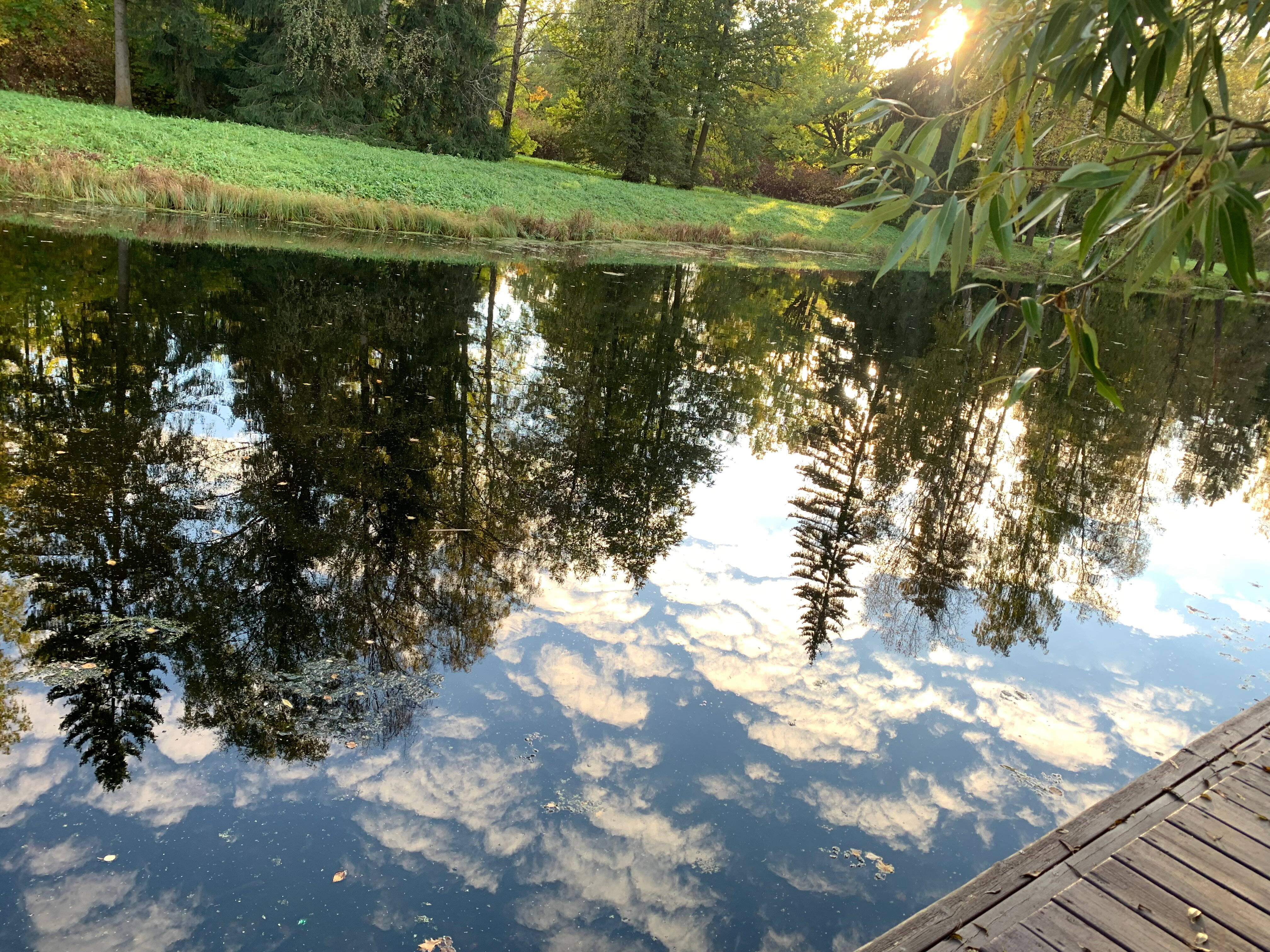 Фото Овертайм