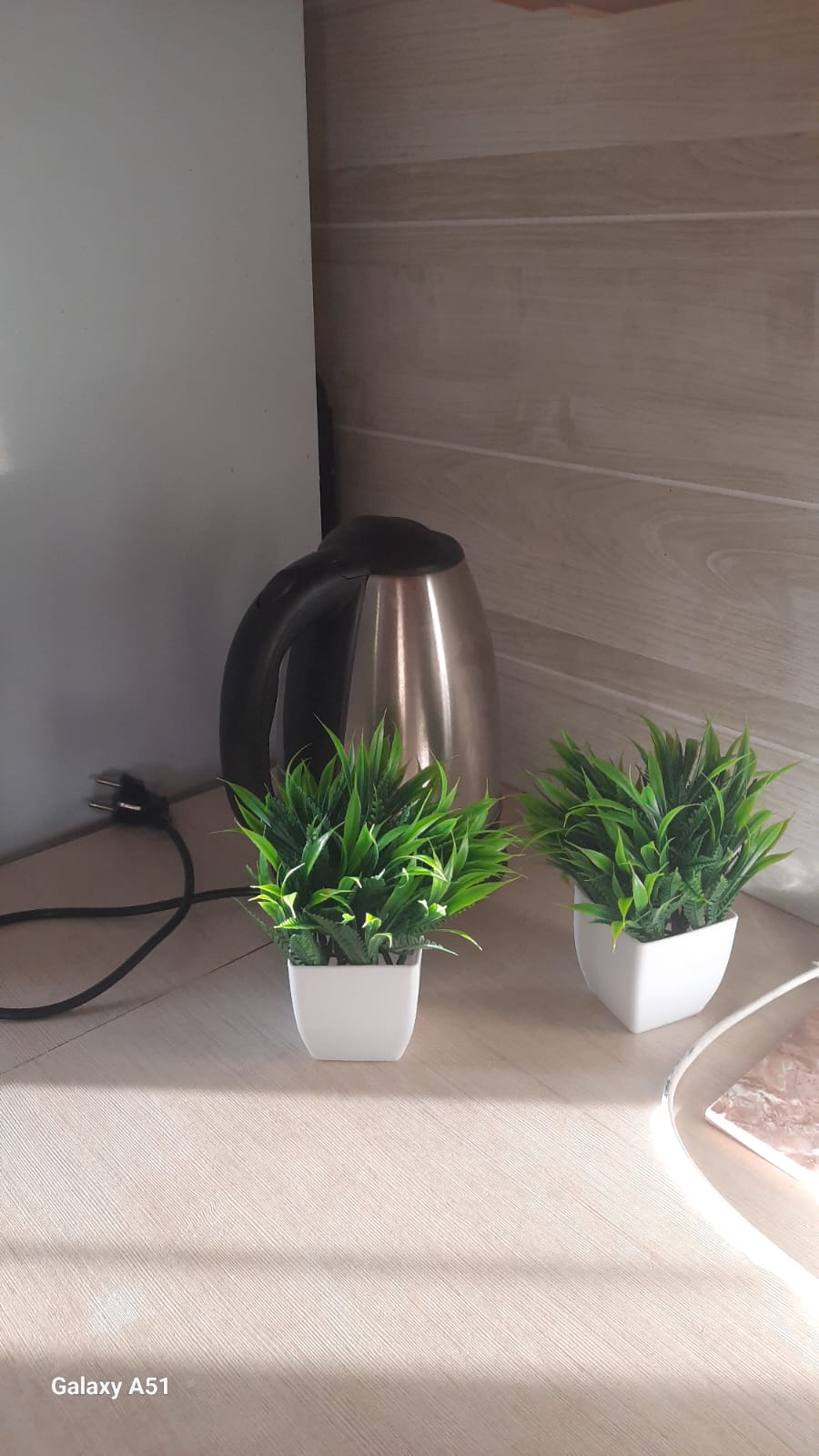 Фото Домашний